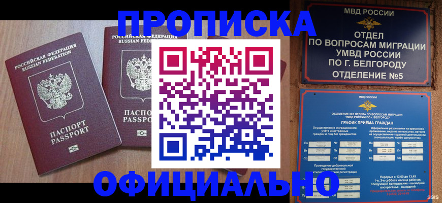 найти адрес прописки в Ялте